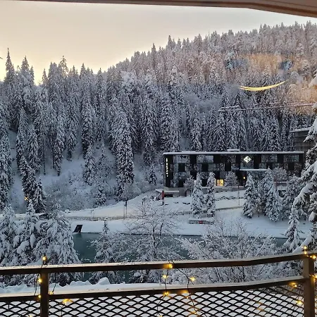 Lejlighed Avo 2 Wellness