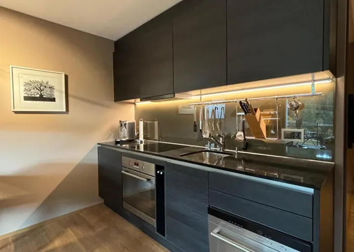 Avo 2 Wellness Appartement Laax