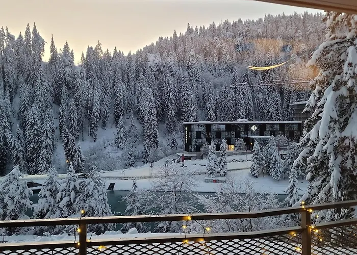 Appartement Avo 2 Wellness